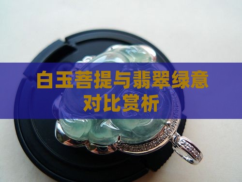 白玉菩提与翡翠绿意对比赏析