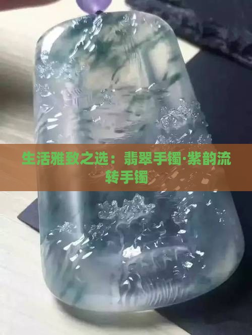 生活雅致之选：翡翠手镯·紫韵流转手镯