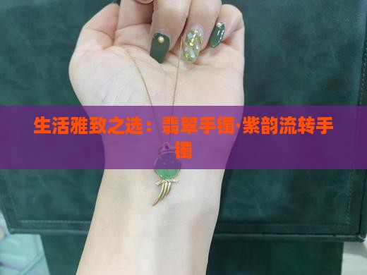 生活雅致之选：翡翠手镯·紫韵流转手镯