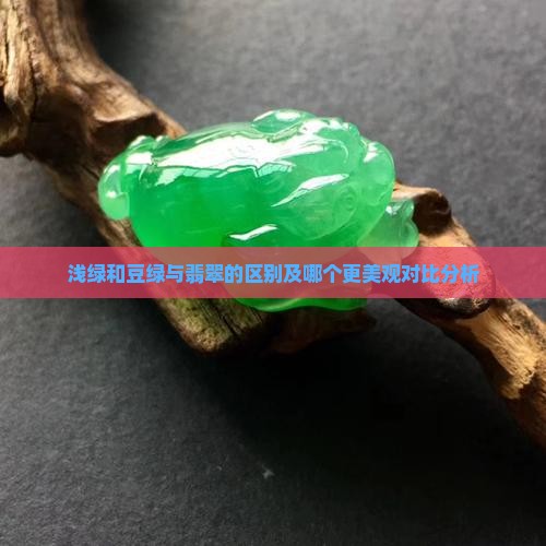 浅绿和豆绿与翡翠的区别及哪个更美观对比分析