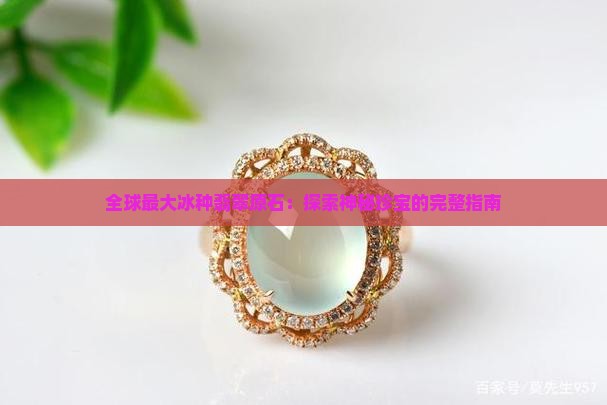 全球最大冰种翡翠原石：探索神秘珍宝的完整指南