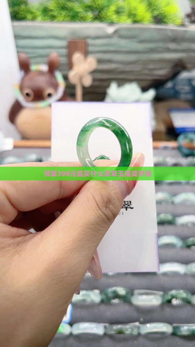 预算300元能买什么翡翠玉镯或手镯