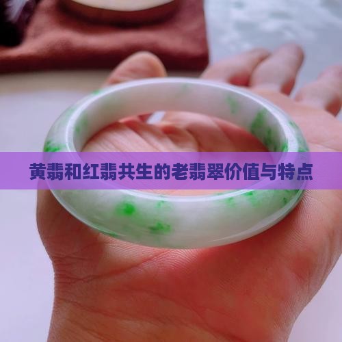 黄翡和红翡共生的老翡翠价值与特点