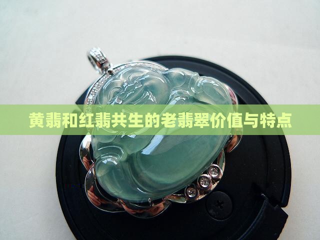 黄翡和红翡共生的老翡翠价值与特点