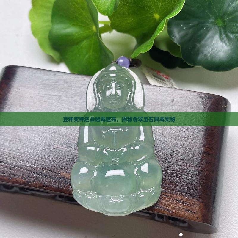 豆种变种还会越戴越亮，揭秘翡翠玉石佩戴奥秘