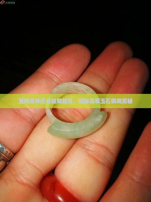 豆种变种还会越戴越亮，揭秘翡翠玉石佩戴奥秘