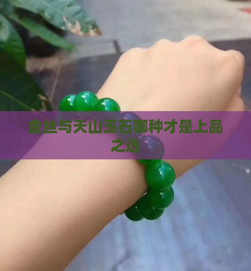 金丝与天山玉石哪种才是上品之选