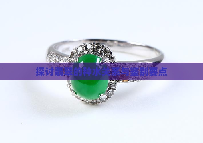 探讨翡翠的种水关系与鉴别要点