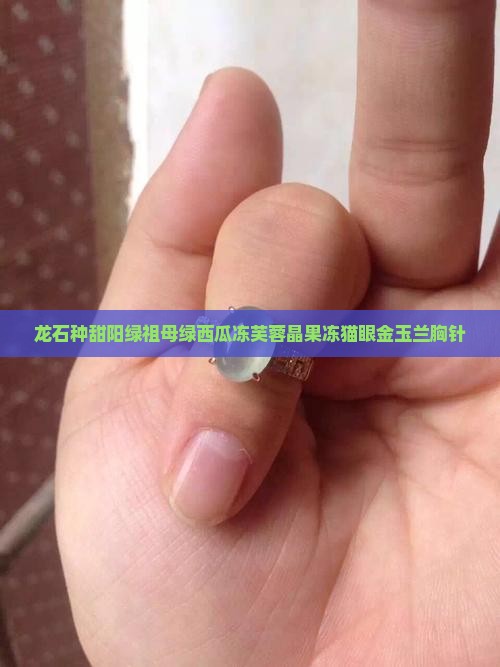 龙石种甜阳绿祖母绿西瓜冻芙蓉晶果冻猫眼金玉兰胸针