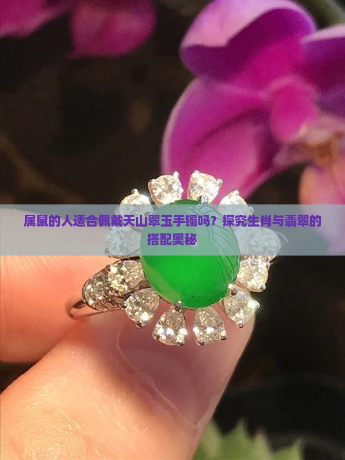 属鼠的人适合佩戴天山翠玉手镯吗？探究生肖与翡翠的搭配奥秘