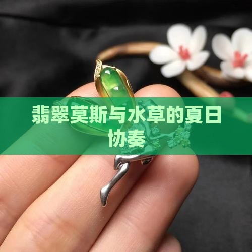 翡翠莫斯与水草的夏日协奏
