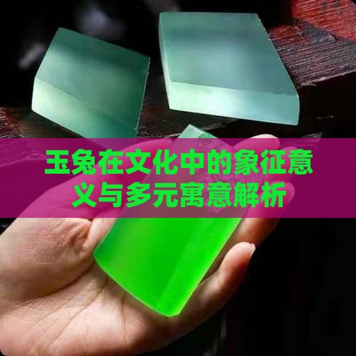 玉兔在文化中的象征意义与多元寓意解析