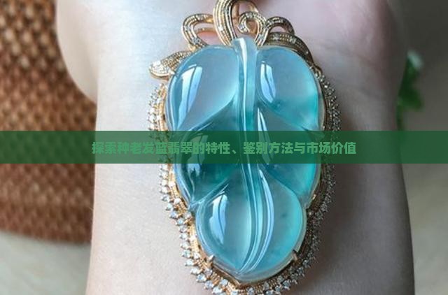 探索种老发蓝翡翠的特性、鉴别方法与市场价值