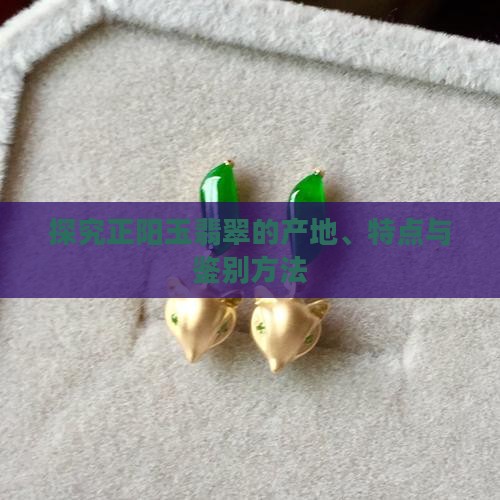 探究正阳玉翡翠的产地、特点与鉴别方法
