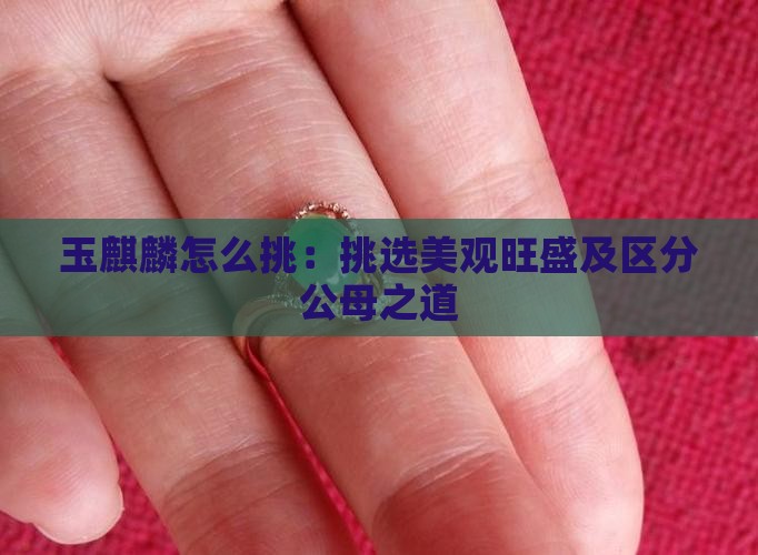 玉麒麟怎么挑：挑选美观旺盛及区分公母之道