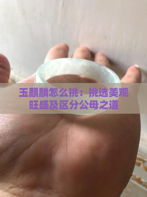 玉麒麟怎么挑：挑选美观旺盛及区分公母之道