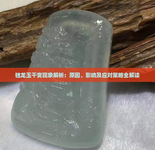 独龙玉干变现象解析：原因、影响及应对策略全解读