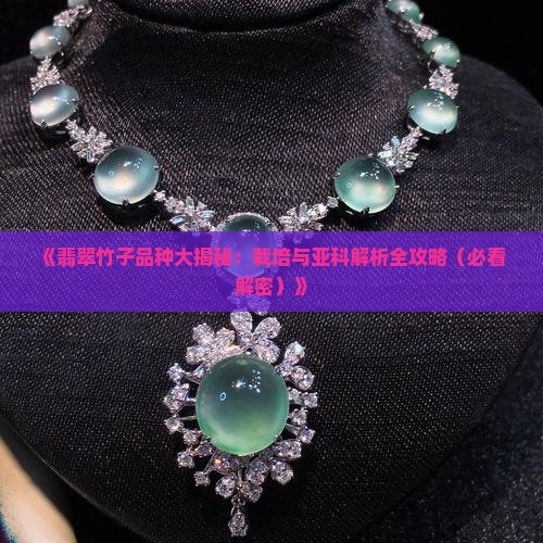 翡翠竹品种