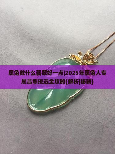 属兔戴什么翡翠好一点