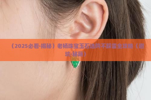 老杨珠宝玉石