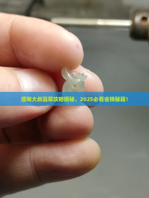 缅甸卖玉石大叔 缅甸卖玉石大叔