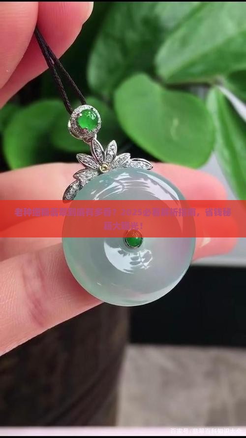 老种细糯翡翠