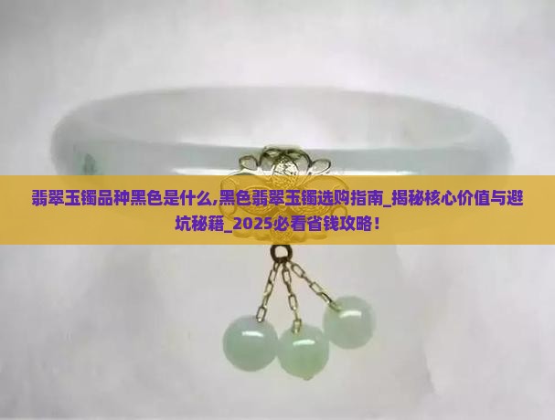 翡翠玉镯品种黑色是什么 翡翠玉镯品种黑色是什么