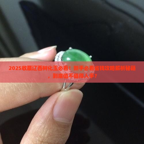 辽西树化玉有收藏价值吗