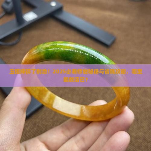 玉镯摔碎了什么地方能修好