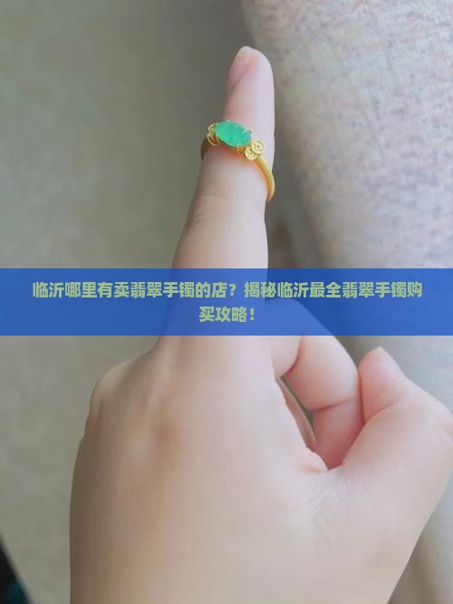 临沂哪里有卖翡翠手镯的店