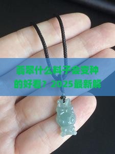 翡翠什么料子会变种的好看