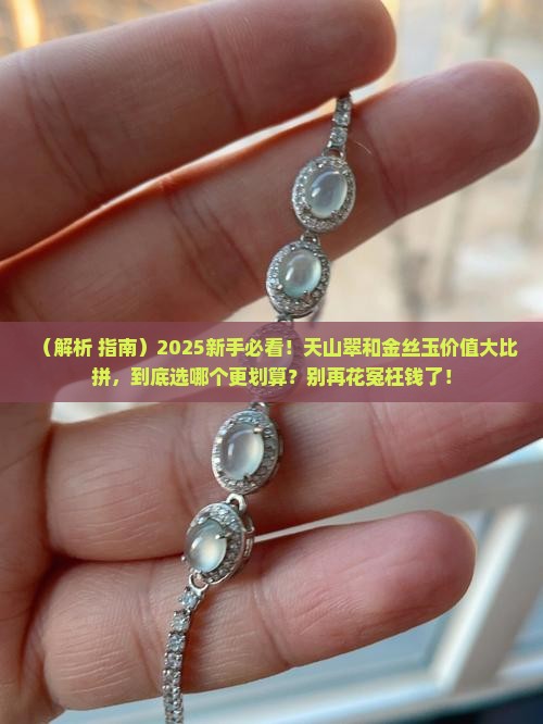 天山翠和金丝玉哪一个价值高些