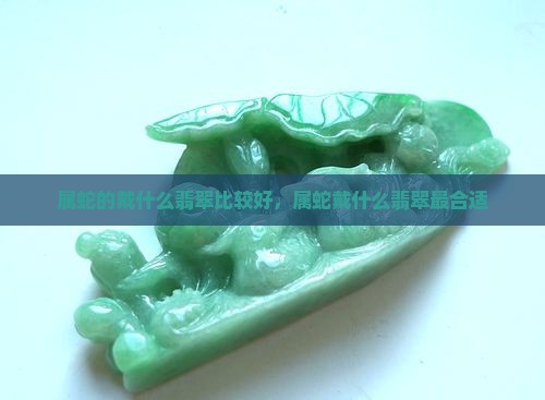 属蛇的戴什么翡翠比较好