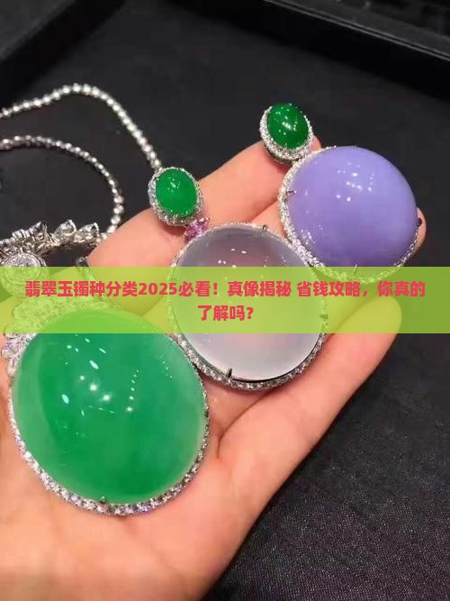 翡翠玉镯种分类有哪些