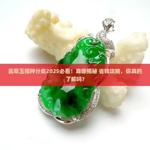 翡翠玉镯种分类有哪些