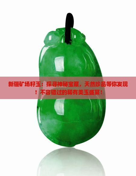 新疆矿场籽玉