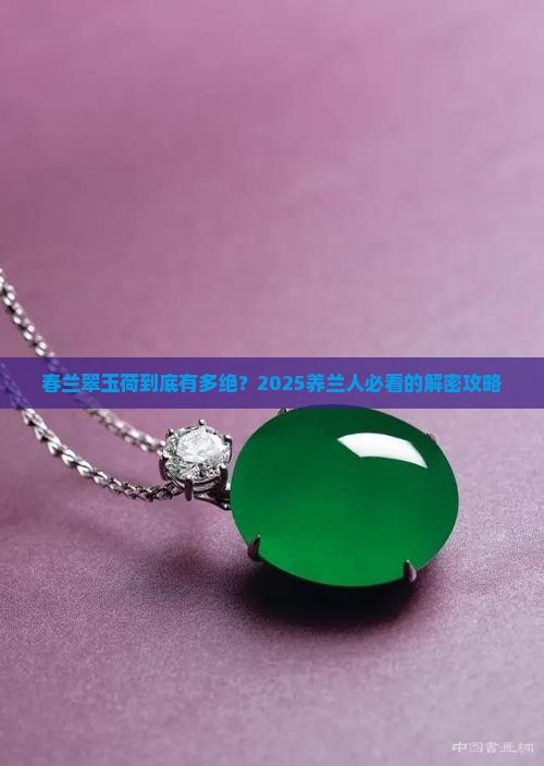 春兰翠玉荷