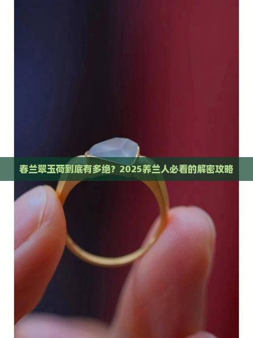 春兰翠玉荷