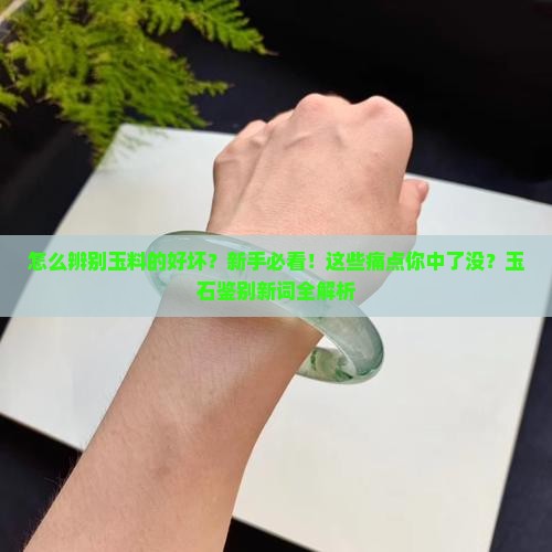 怎么辨别玉料的好坏