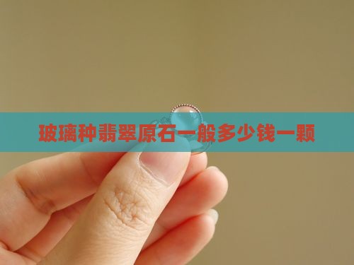 玻璃种翡翠原石一般多少钱一颗