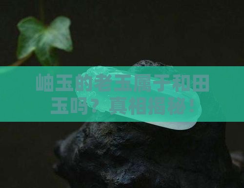 岫玉的老玉属于和田玉吗