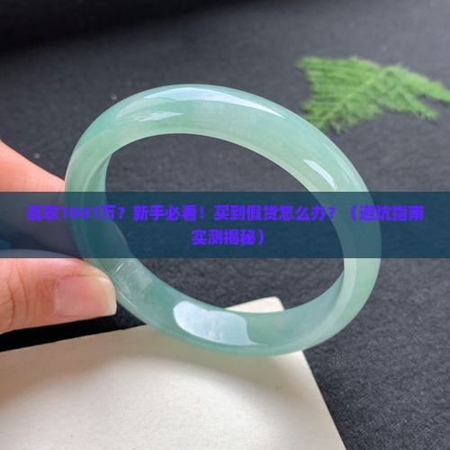 翡翠1001万
