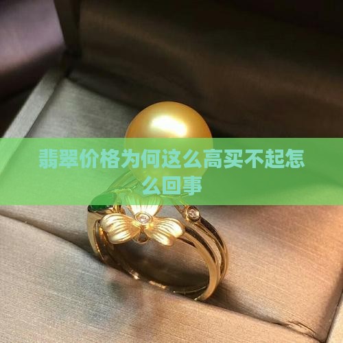 翡翠好贵买不起怎么回事