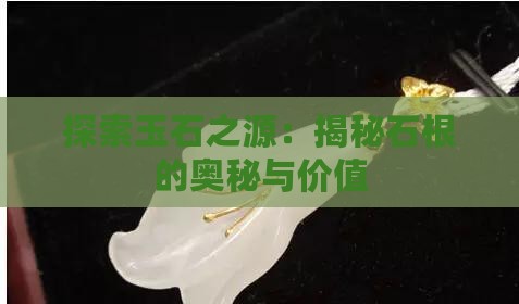探索玉石之源：揭秘石根的奥秘与价值