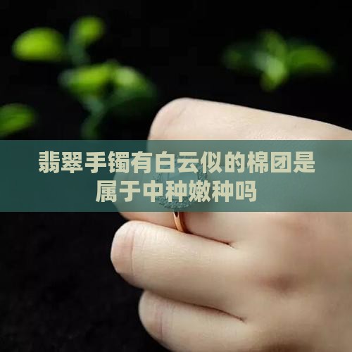 翡翠手镯有白云似的棉团是属于中种嫩种吗