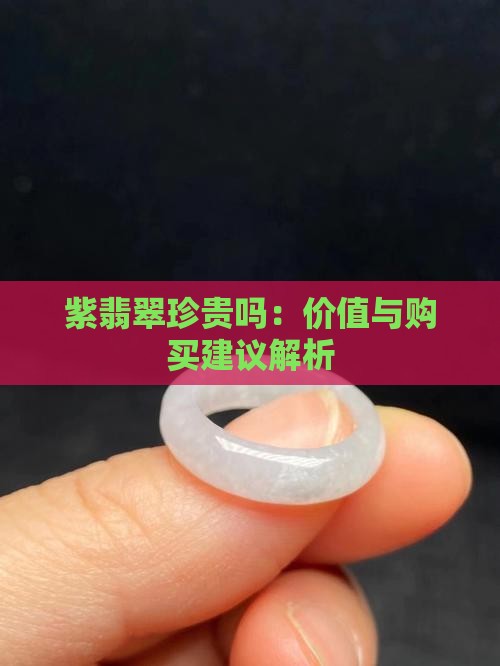 紫翡翠珍贵吗：价值与购买建议解析