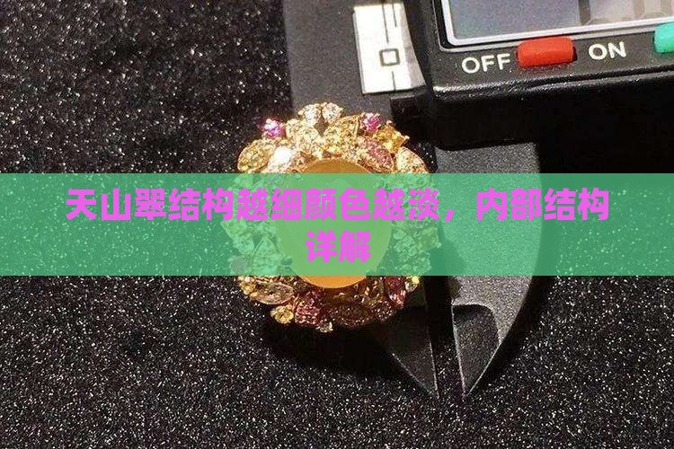 天山翠结构越细颜色越淡，内部结构详解