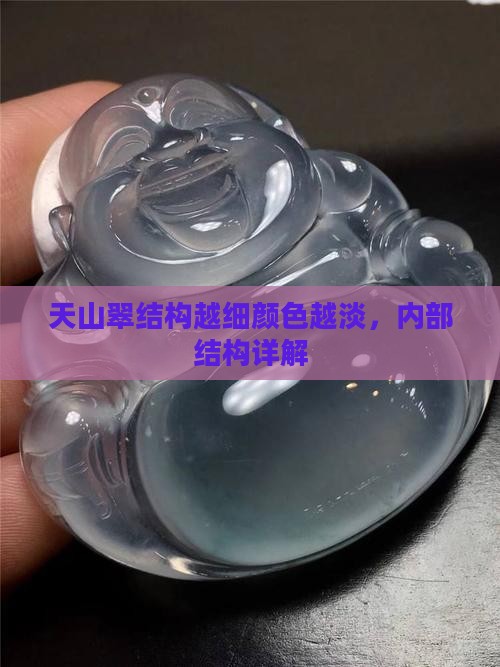 天山翠结构越细颜色越淡，内部结构详解