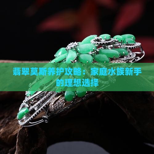 翡翠莫斯养护攻略：家庭水族新手的理想选择