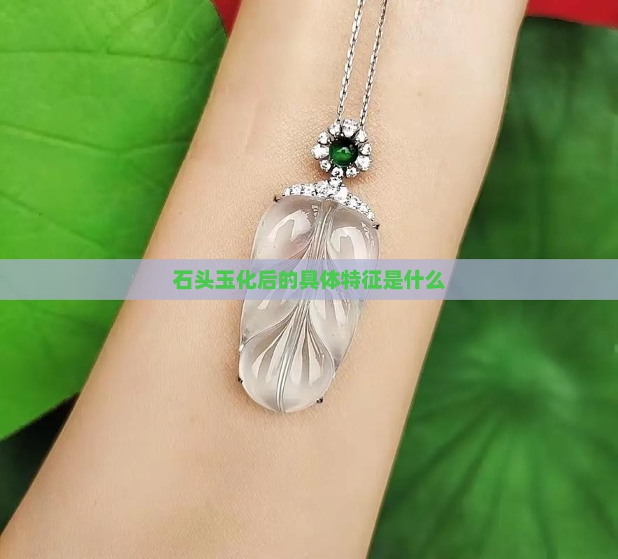 石头玉化后的具体特征是什么